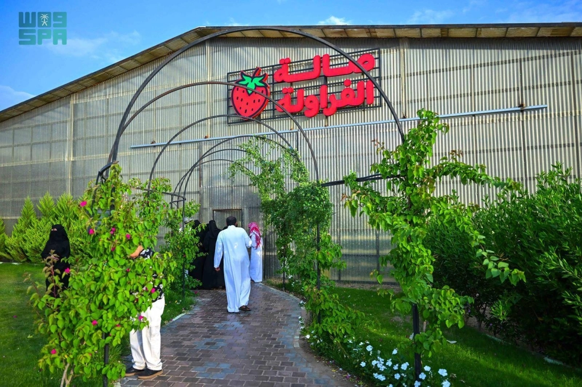 79EAxDNPRjcJNR9Vhv0vvUc9cNkYXqi5pqOQYhaz