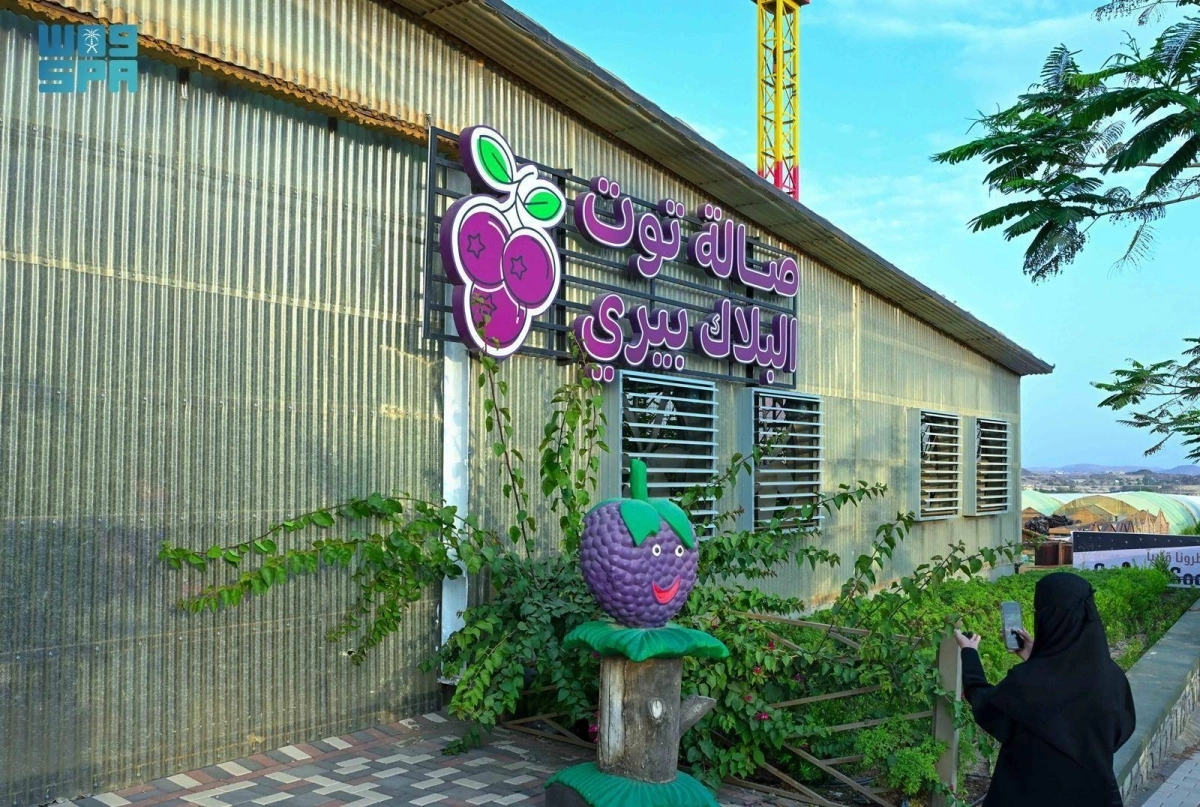 8yiIvaIbARnDsV9H02BcKsYo8BSGOcngbn4dtTu4