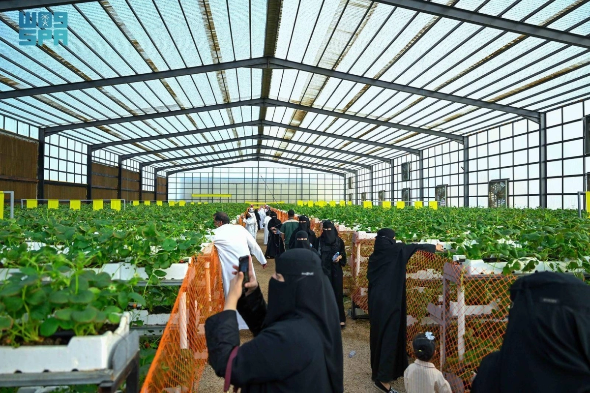 WUGRXK2OMCP9jhP1PnnDM4ZX23iXnKqO5kOnNX4J