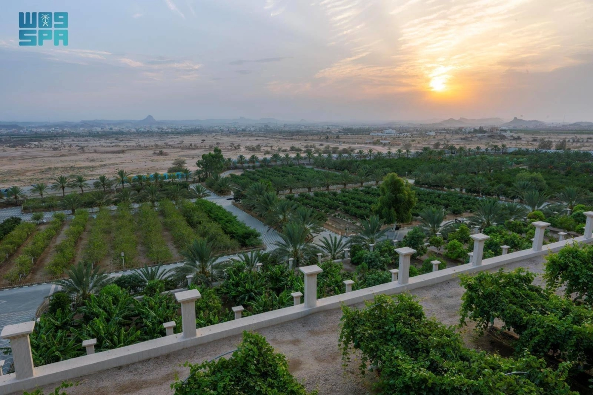 ocHTBVxhBcafsqxutxs8S8sezQUAGFJOzKNLNyct