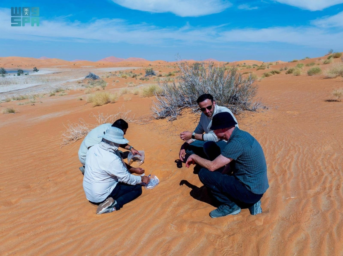 جولة مسح ميداني