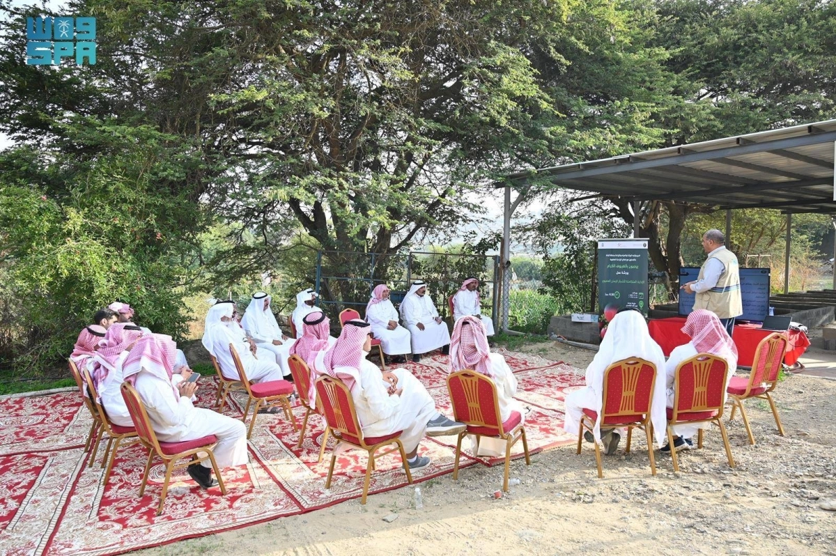 جانب من ورشة العمل