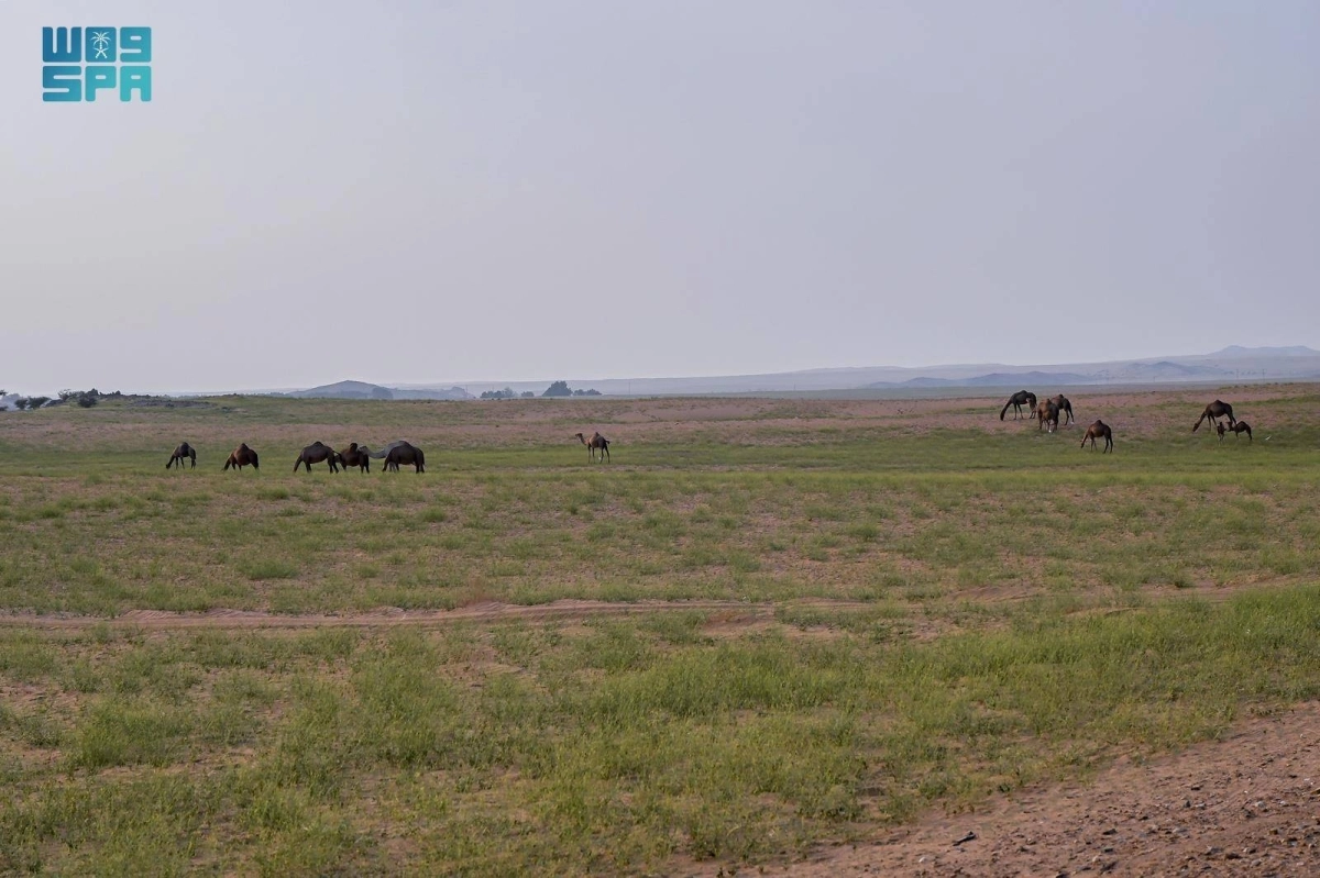 g2H4qRZC80riXO9AORugF1pb5Y8Heez38JWPvkD6