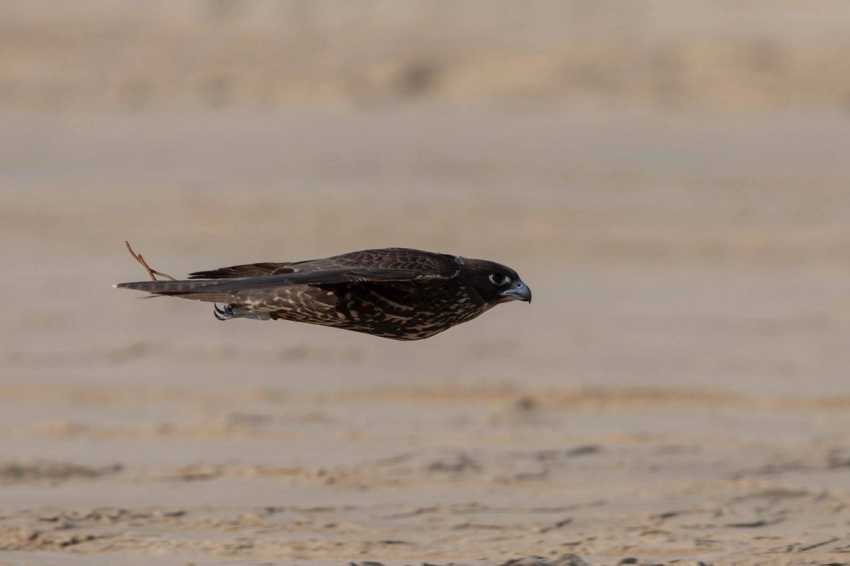 WhatsApp Image 2025-11-23 at 20.44.57