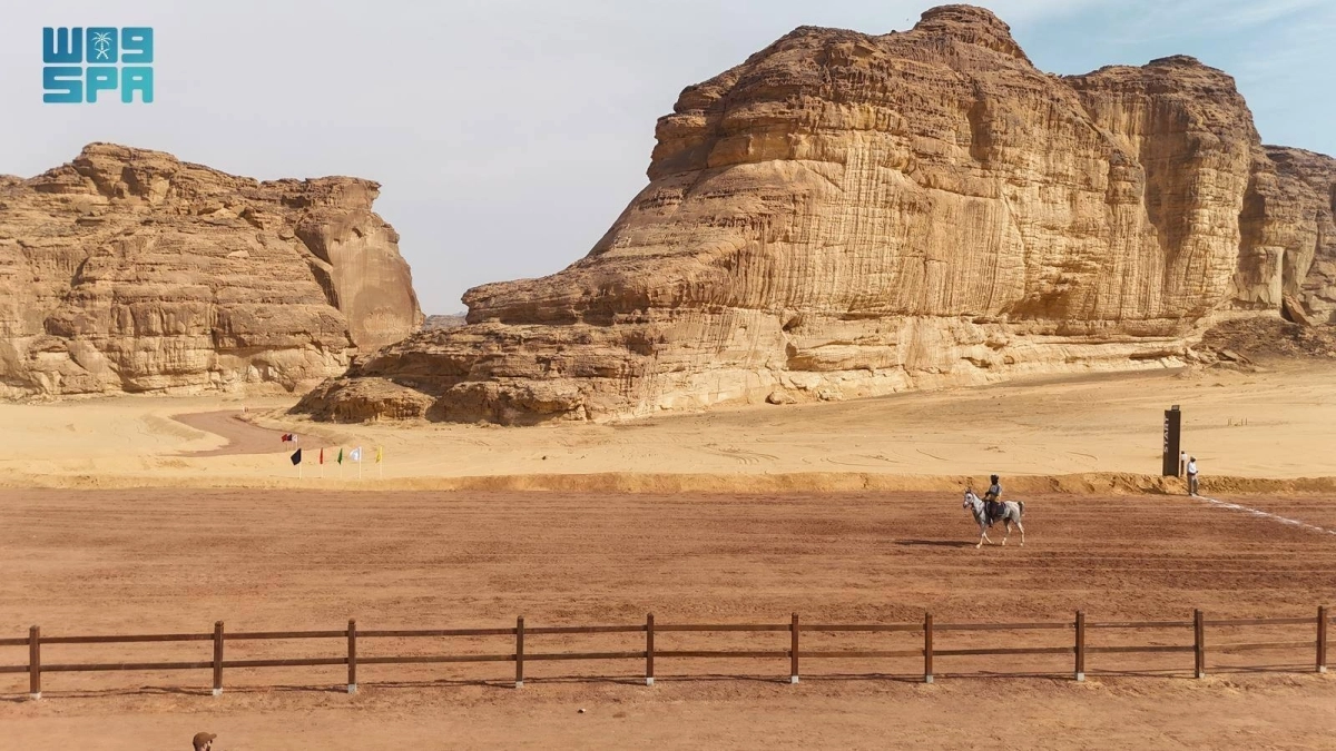 Tamz7J0QLbLColYU9zyivvAPsNGyTPd3iTSnIVoT