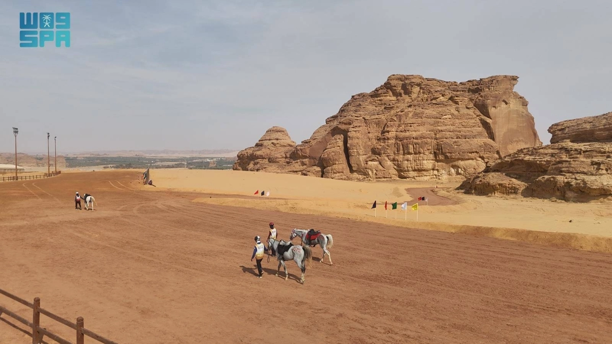 mLrQPFP594HW0QOXgLnYOw074ak1caFphNMqYCk9