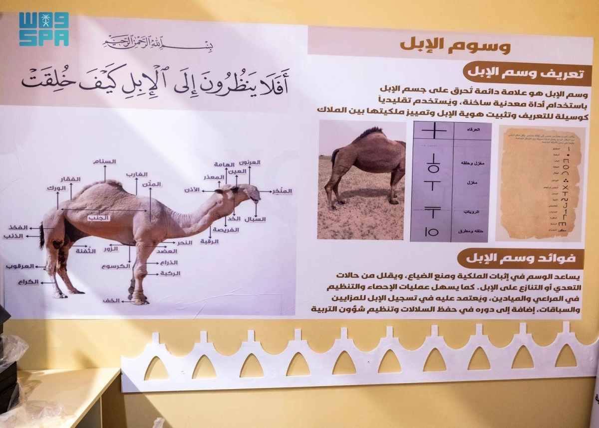 HjZkTFW82MUT58UeYx0wYKmCLtm5YUybC1mx5SjY