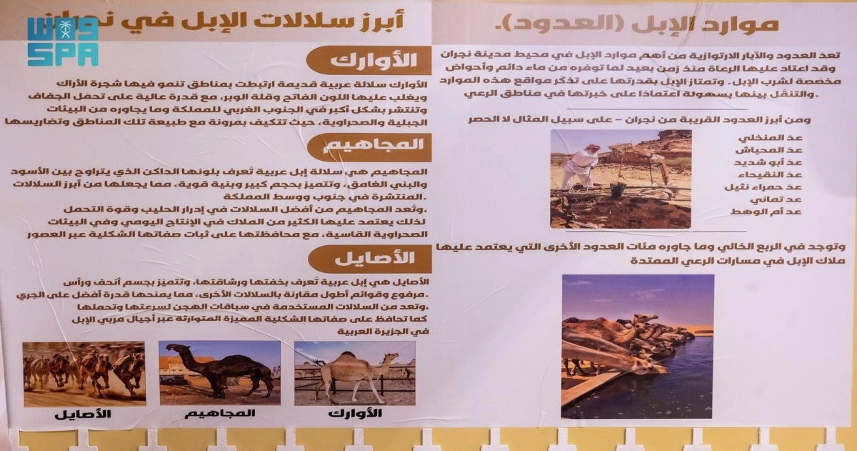 N8J20f0611xLI2QYoD9rgJzyRfGoXyJz0uLX1bTp