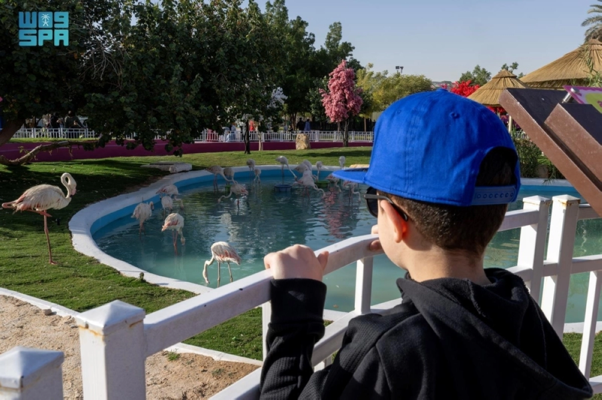 OZySz0rH4BFmQMZizpW9GFwYZIZbO6MsiVtkumDE