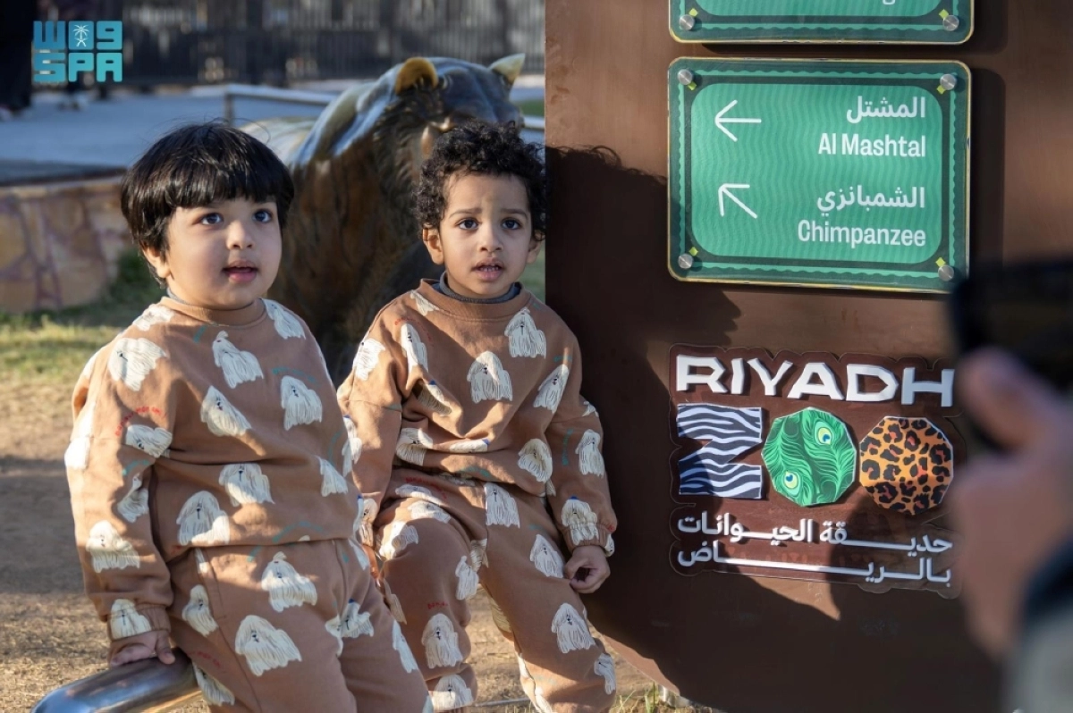 TH6vFt9ZdvSURRNTreHVVIm3QuwqeLqQsx0Ep9Uz