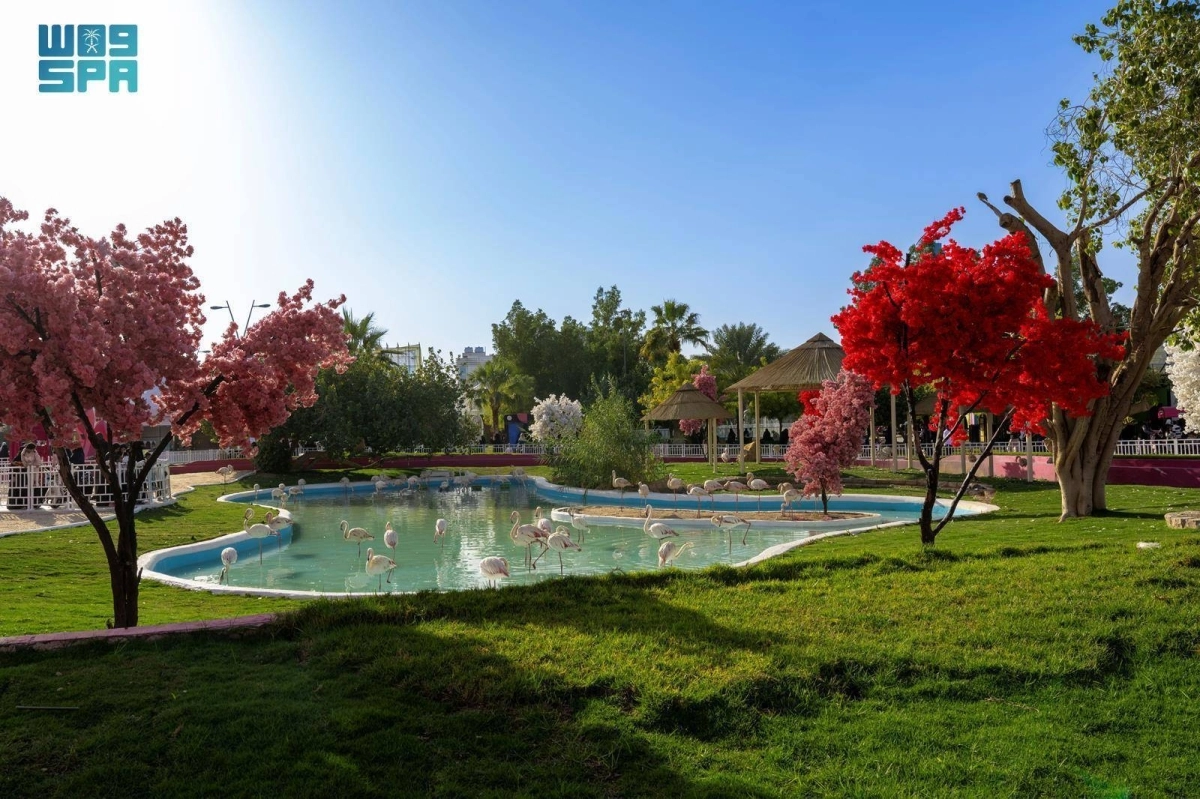 Z3rGYKbE9c25xsVSpTDviXw459aMBNzNy0gN2HZv