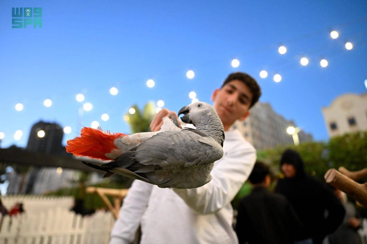 YP0KH5wClImmWRamjLOsn6S3aYqrvKB55qWYpo2E