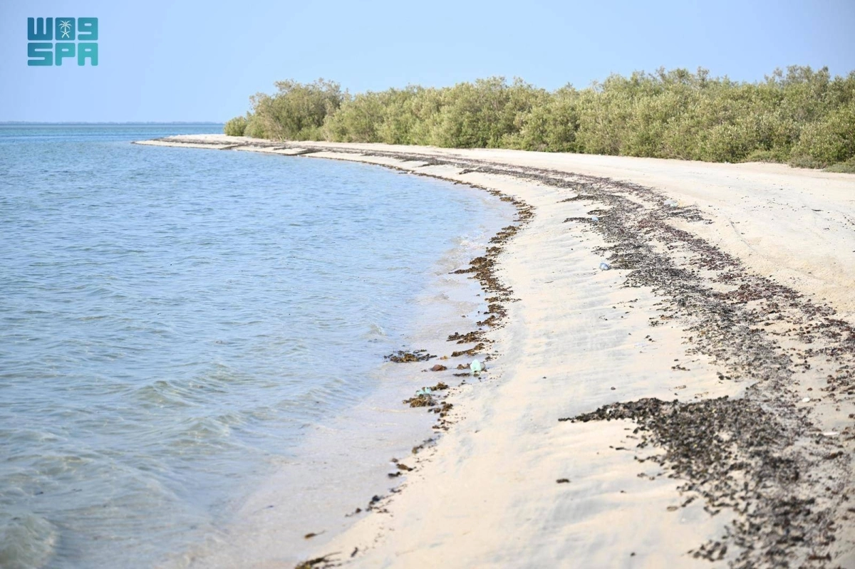 ncmibersSYuvJmtjN18DWd8ZKWwv66J40VGxXymO