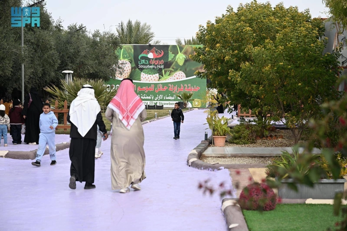 2uxsFAJStoKGK9fM29eyu9gWHoann7QMGG4kmDft