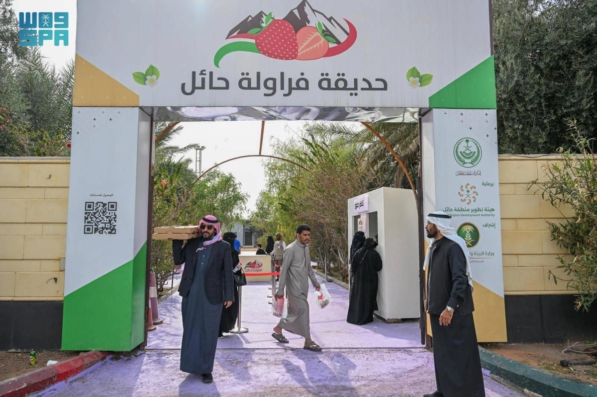 35ngZPLgKIRYpDrpEA84a1KXfse5QCXTjro8YyL7