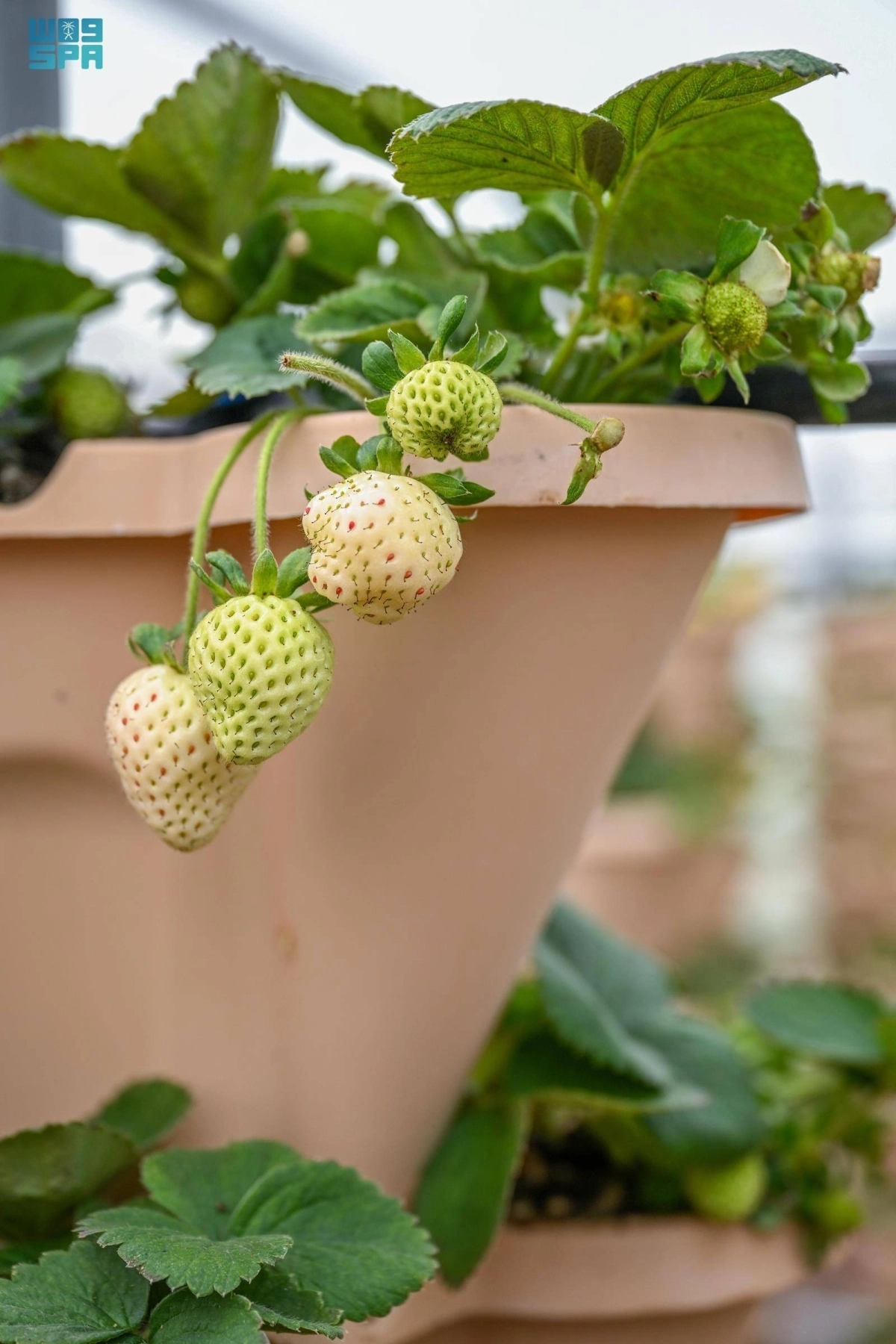 J3QhyJ9CbpKd7b7ilTkS6qzremFcIAAsvSCLExss