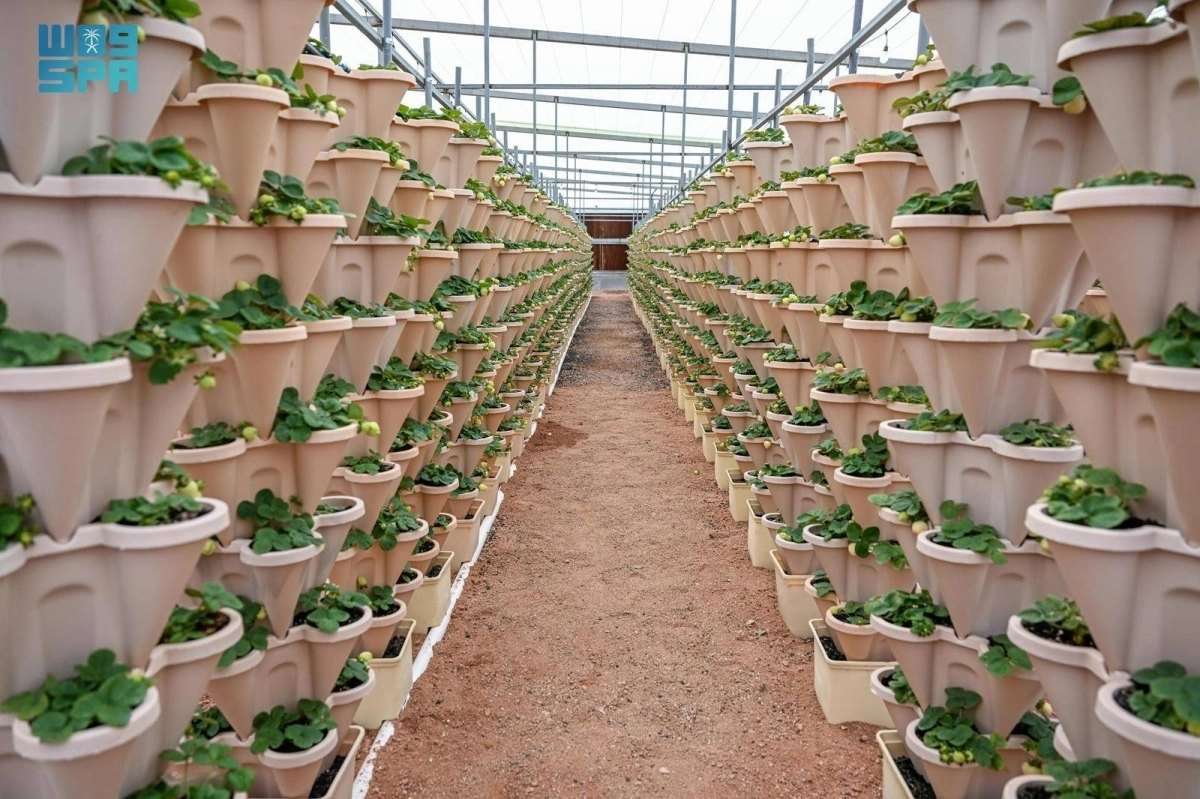 YdfePzMAbhk2j9x3CZz6ln8G1msDdcEWcP2wbsxh