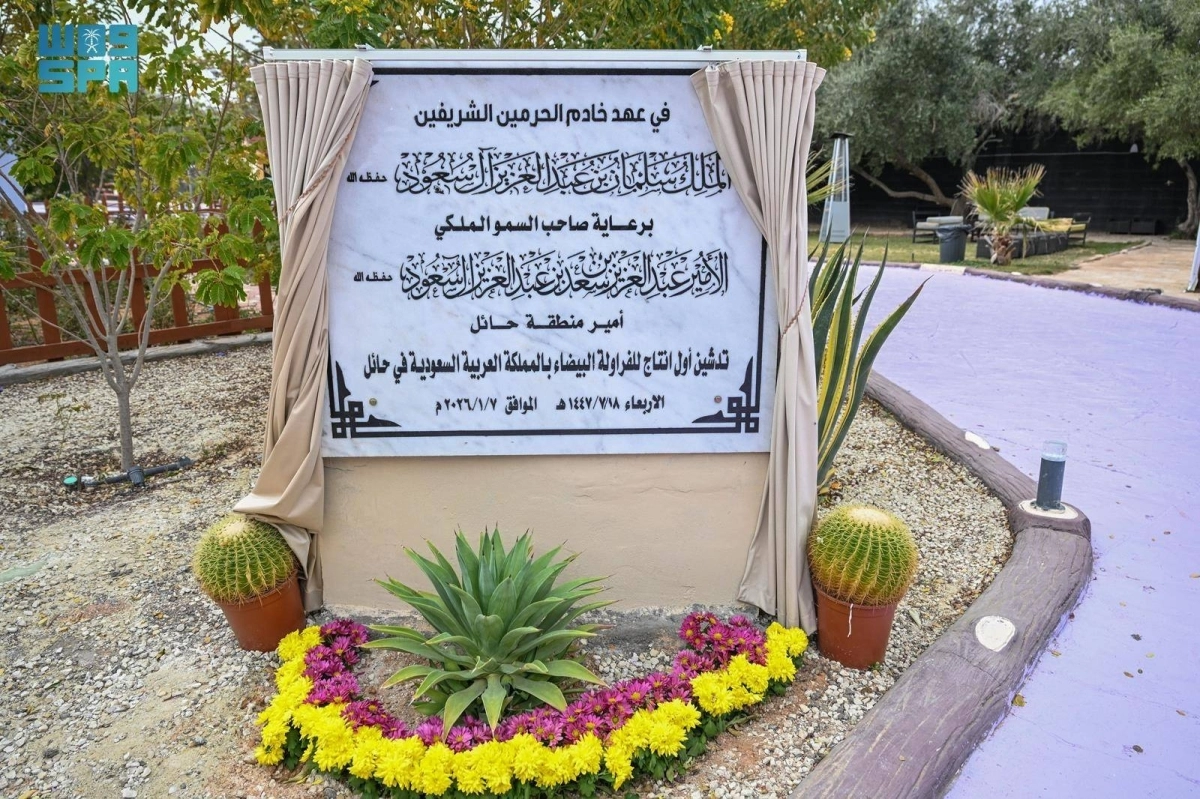 xc3rV0SqF7ROW3msvZbGtSFZJ1Fjt14K51vdNlX0