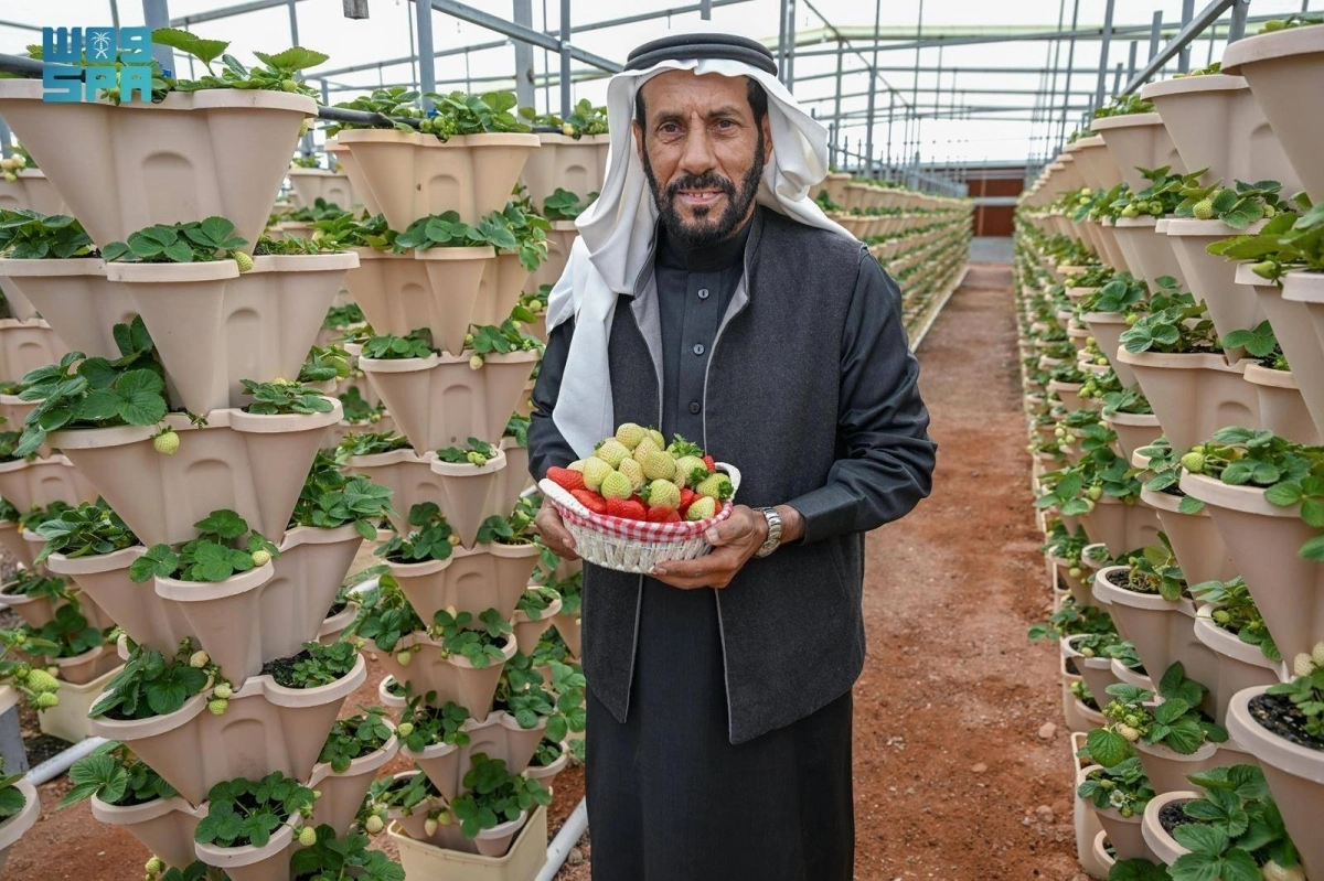 z4qcZzwiMJXgjqAvGhr2mkJ3oX9Ejov34ioxbNf4