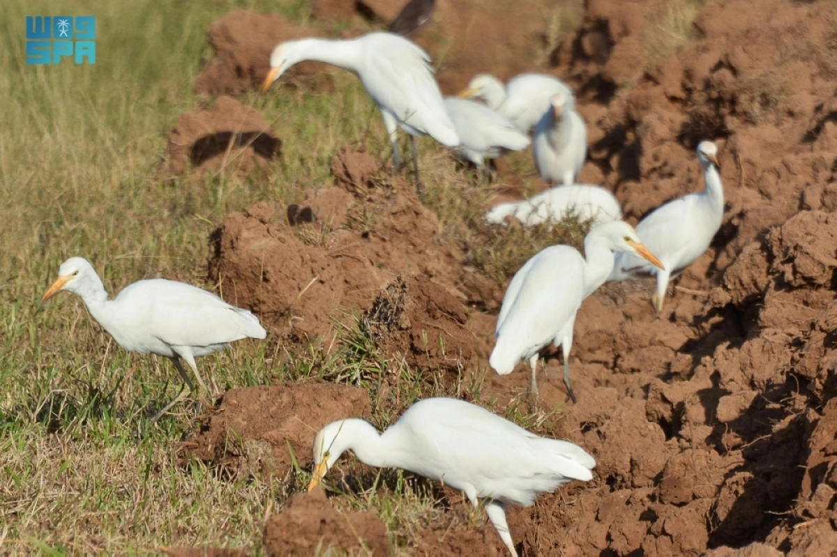 83YReWMdrcdmNhtnRlaGuY08yHHY1sXsucYaESmz