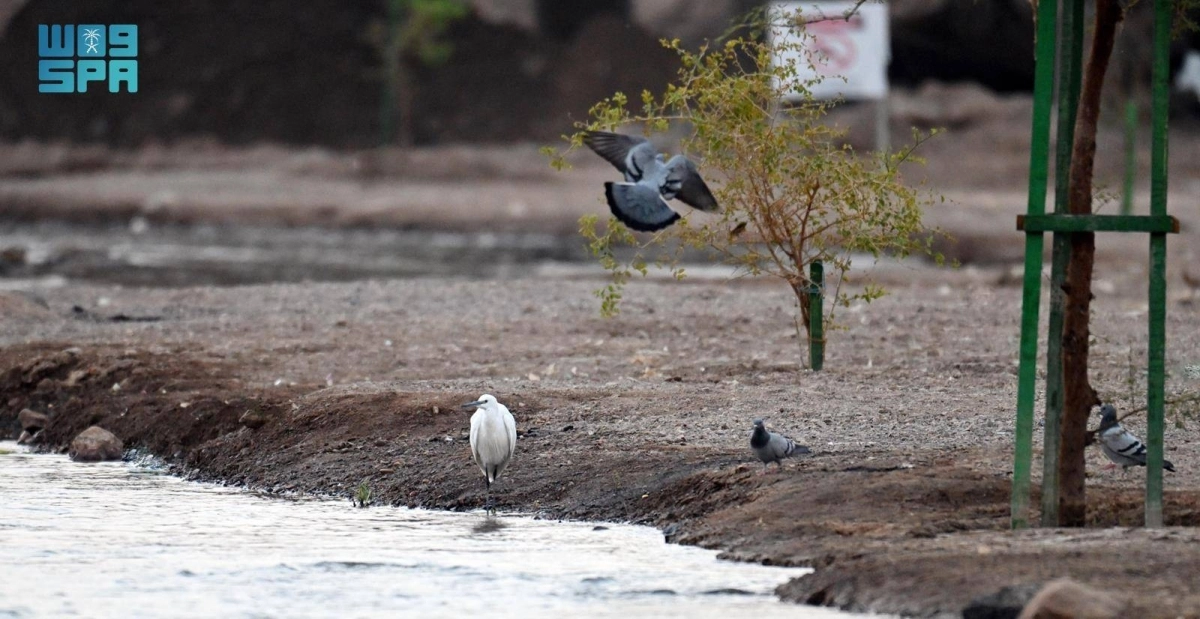 UjwgL4yYdHUuIPXE7UG64RzSB8QK6YPc1kj7c7mJ