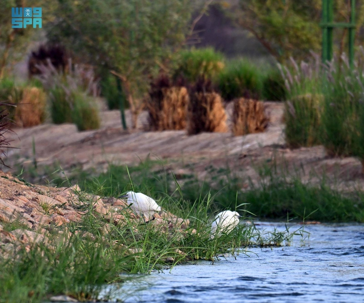 XLUjXDGE1AVi03QDIH1PUAMwb9wVJb4XAhvQAD3d