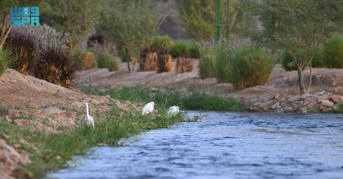 pGrovTSEwNUq6H0fqoILPFXrFtseoXxeDI99Sly5