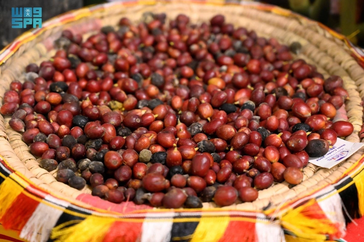 z6o86uvKihSy9dPlJSD1O1dt4J9FXTpz4YRLzsJ5