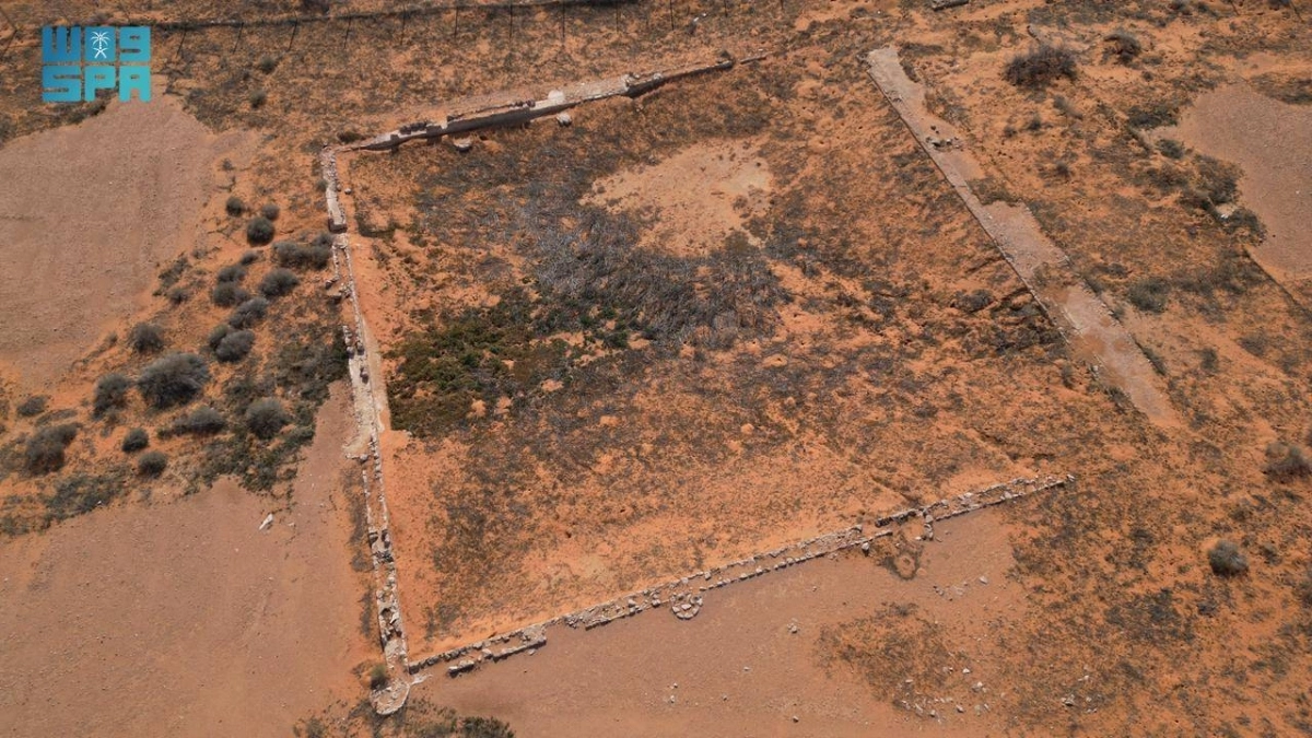 bm3p8qyLLsNlHiObsXiiVXgM3SMOq1n0Bg7WoEzg