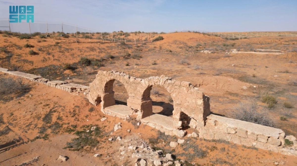 kuO6mmtIw6Y9cPd0NaNSEnpGF4odStNEcmFGCtmn