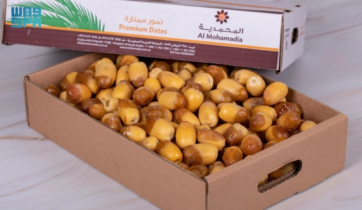 2eJpkEymr7nsZmvPsFhzGjDNMDWBLdFj2rhfT6O9