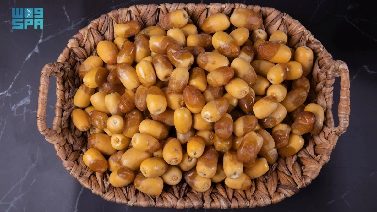 RdZmH4NA2Bu4E7tGeYQFywMpWX30HR48Ce4wj1kt