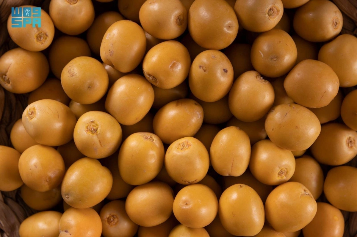 j1PnoPV0vKyti3aewCxHWhPB8ecq8NqTghZraxlT