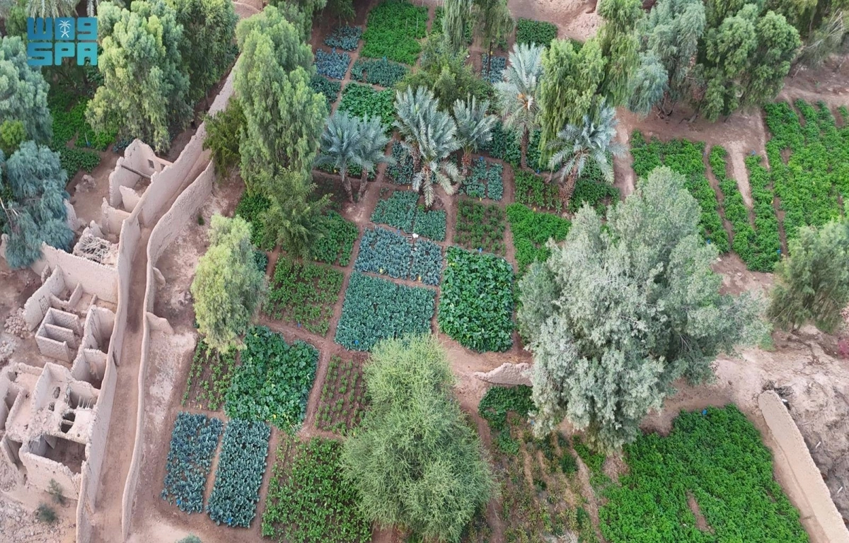 IWqLpLRR3pFyy7A2lNkz1tkaqmlIYBJf1x63d8WU