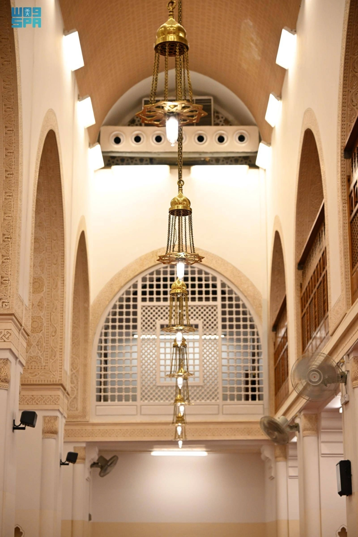 8Fz7CoX9GSbfdzRY5VwXBofWGXvYodSnWBqvTlZK