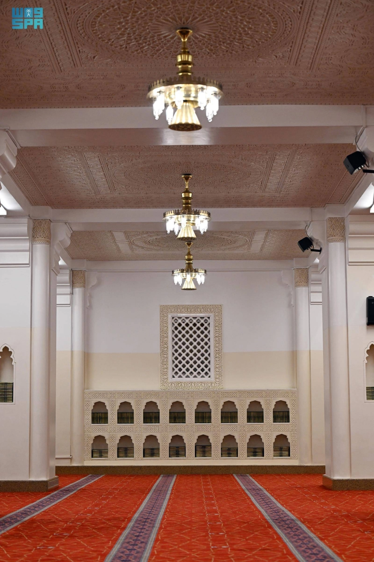 bOfnzk9ez0JXXSv8fcYsILsTarbntyDpw4kWe6WW