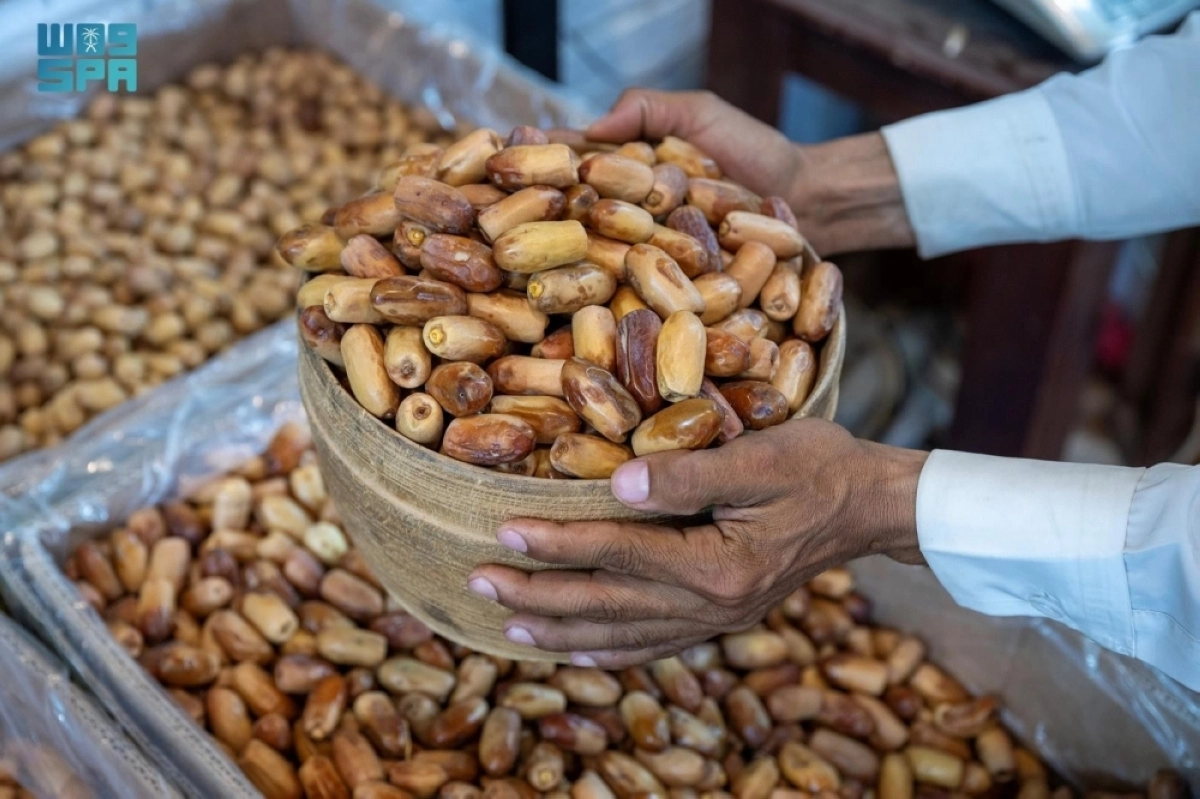 HzG0ZFdK1gKgYXcLZGlj8ck2cRVp49iUCbLuOklw