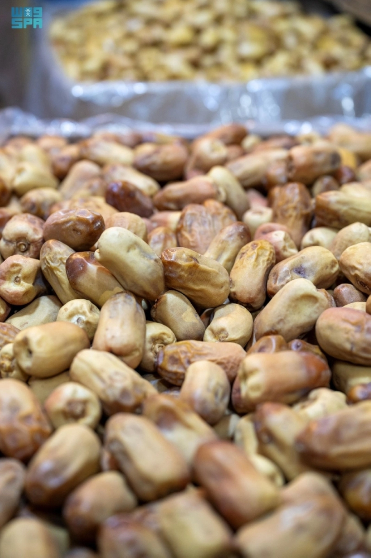 QPwWsNw2BFSU27rL6kRGZh97q0FgNaPp4EkjGDzg