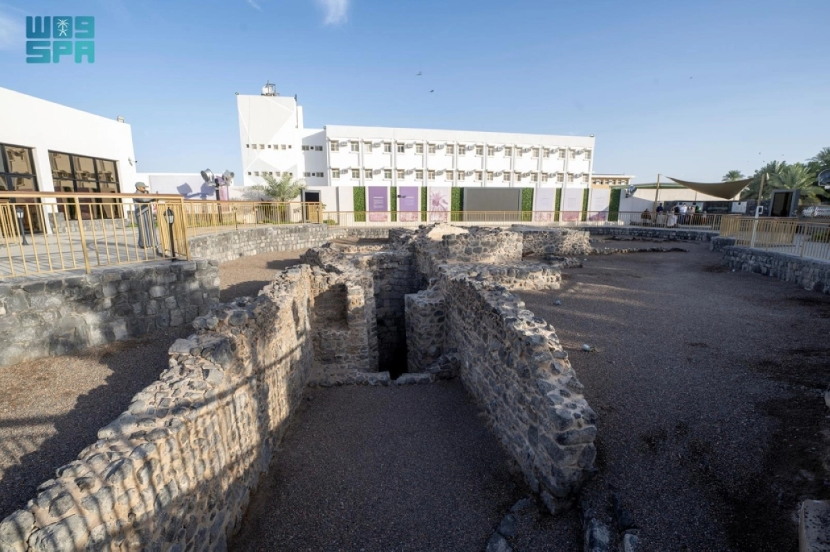 rmDonYqJ66lris5sbbXYv8wNEthxa0fUMhJv60r0