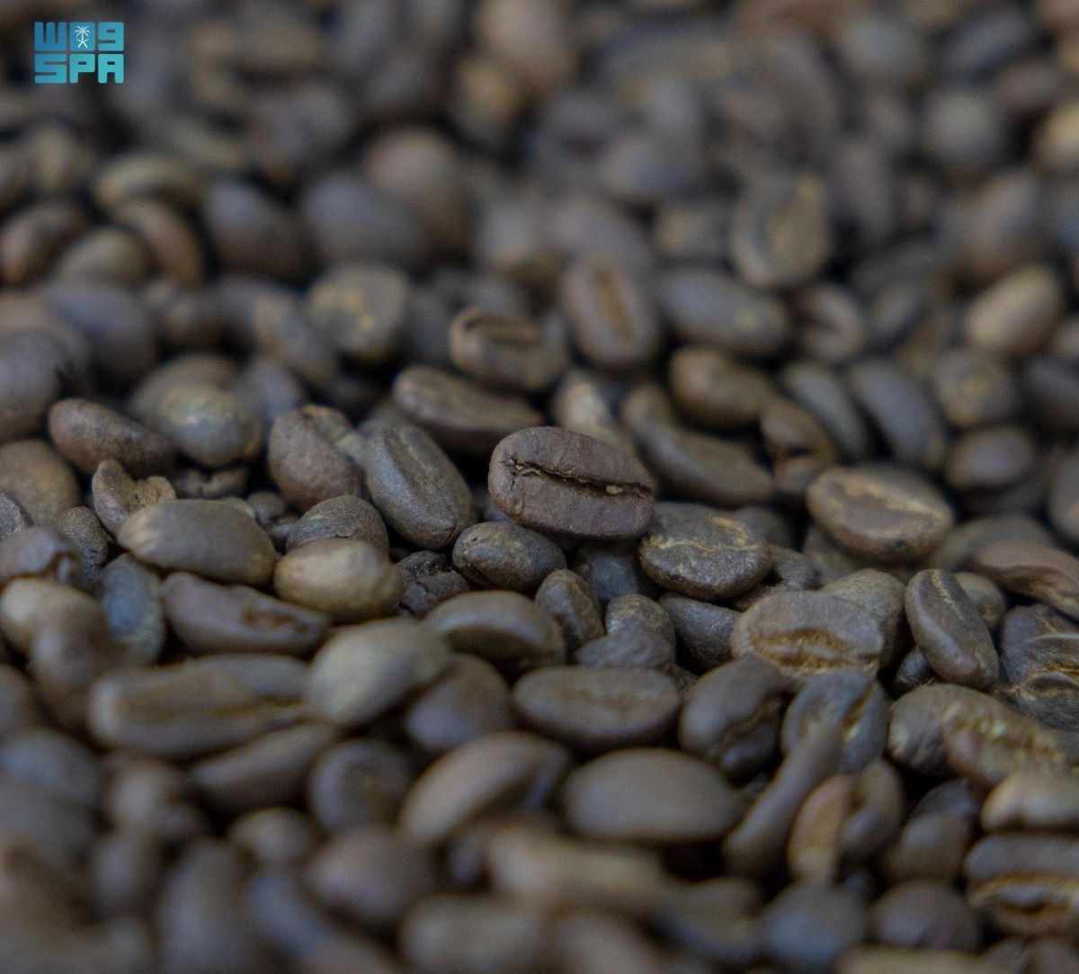 Fwq6xyYT3Q9cvO82EJQ1AA05dwCMkmvziwN7mz1D