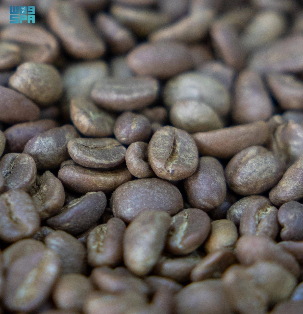 KWQGkrOVYPl6v8rePon0rvz4cJngrwAYiaodx4sG