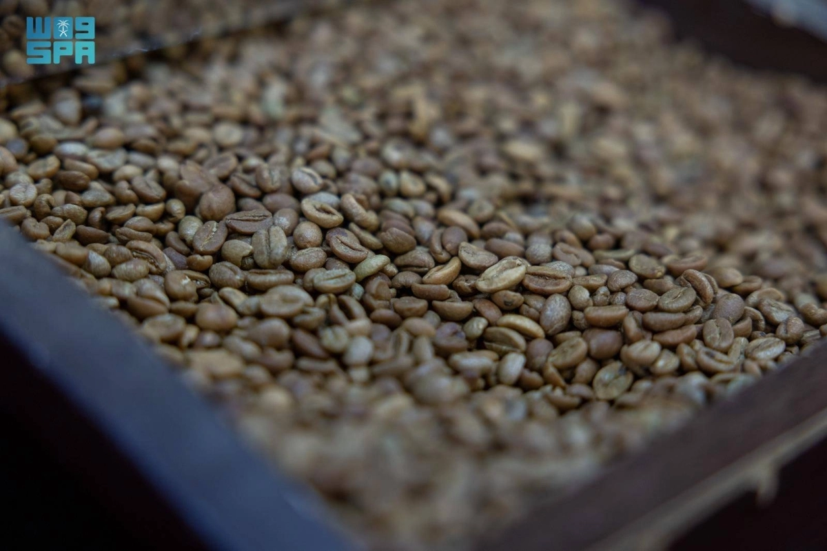 ObrtYU8MJ24b5ODjDLPhVn5GzRQpA9VUPNKWvEKr