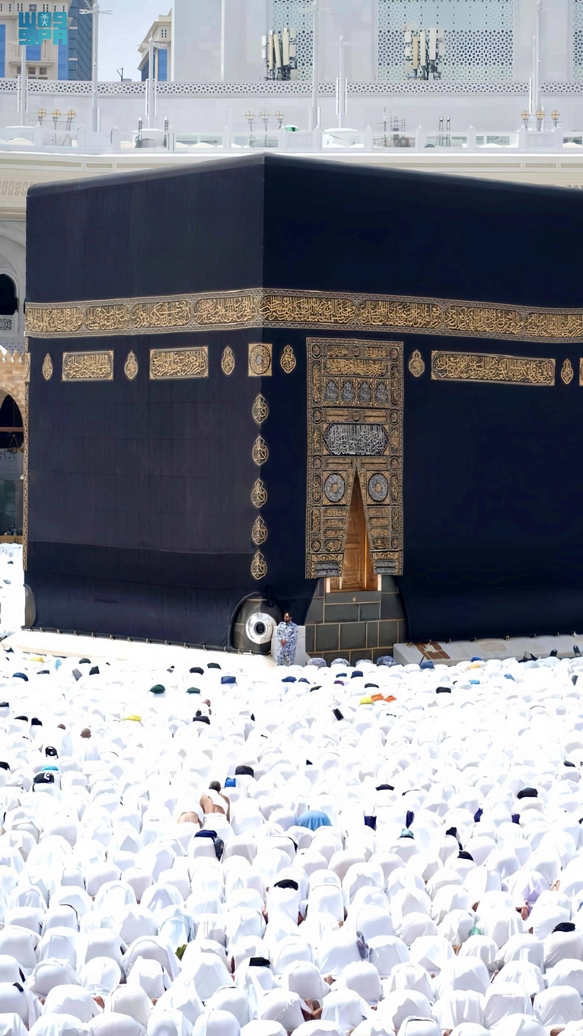 HYre5WEEUt3Xarq8YQJ2vYaAN9F03UtGGTnMkms1