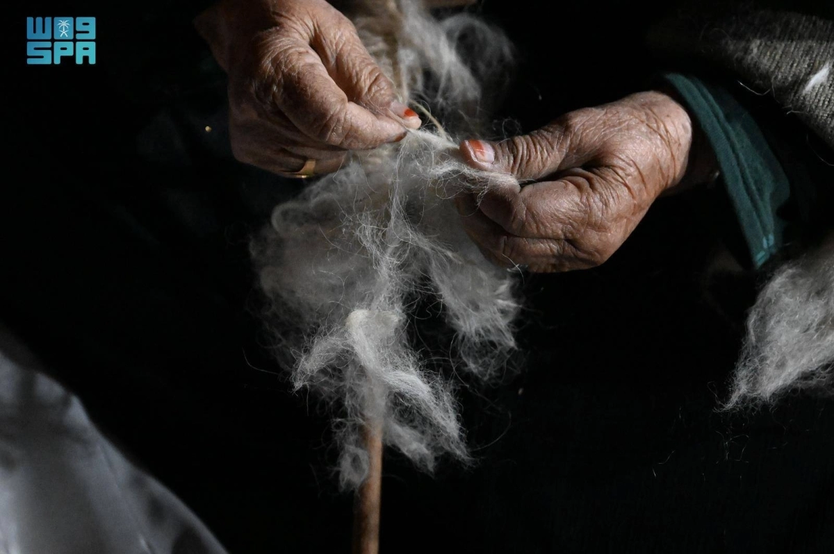 6MInbFQxsKns54wFV1AtmSb8fS4jXSVi4gLJEKyF