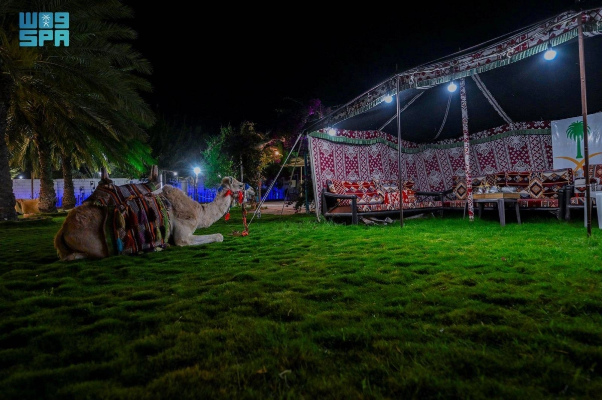 RwOYr2F8aZZOtWFb2iUKLIsTC1WhqfiLYCFRKkoT