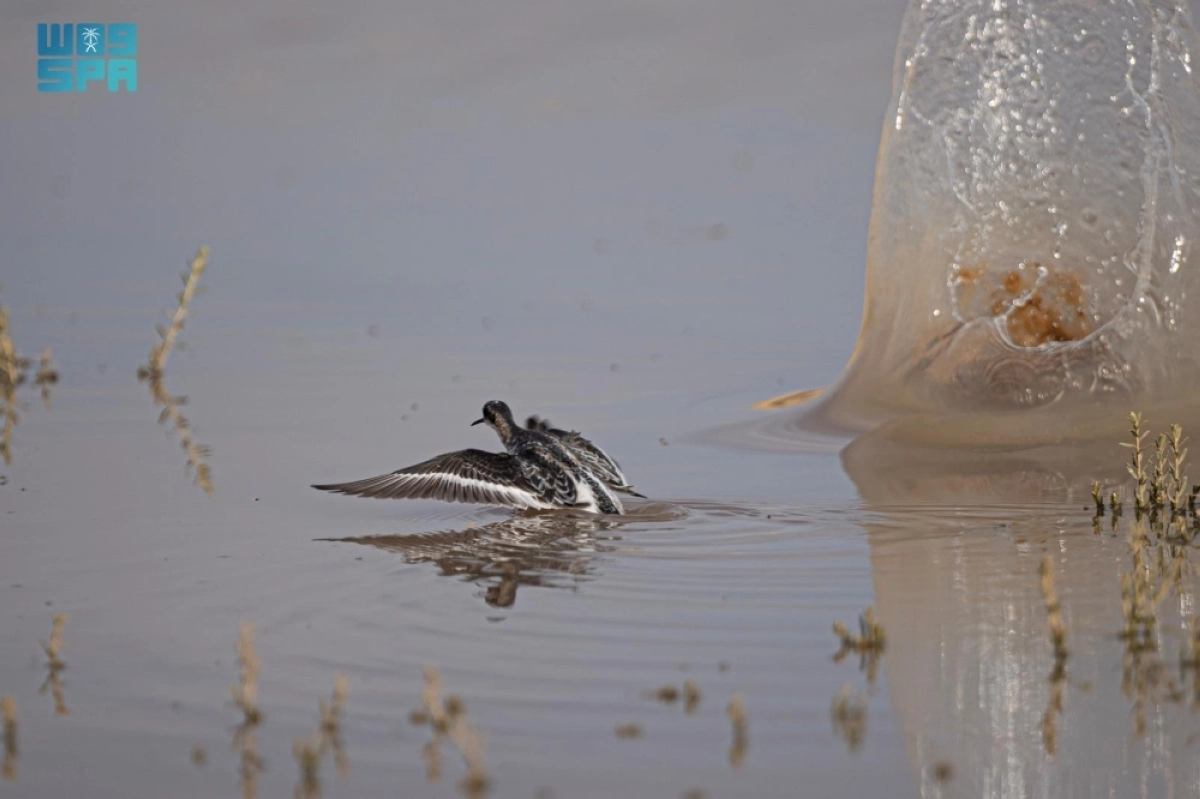 a8Dv5JSHmkYHZVniKe1OdKgKh6f3usjL2IlrQ1XE