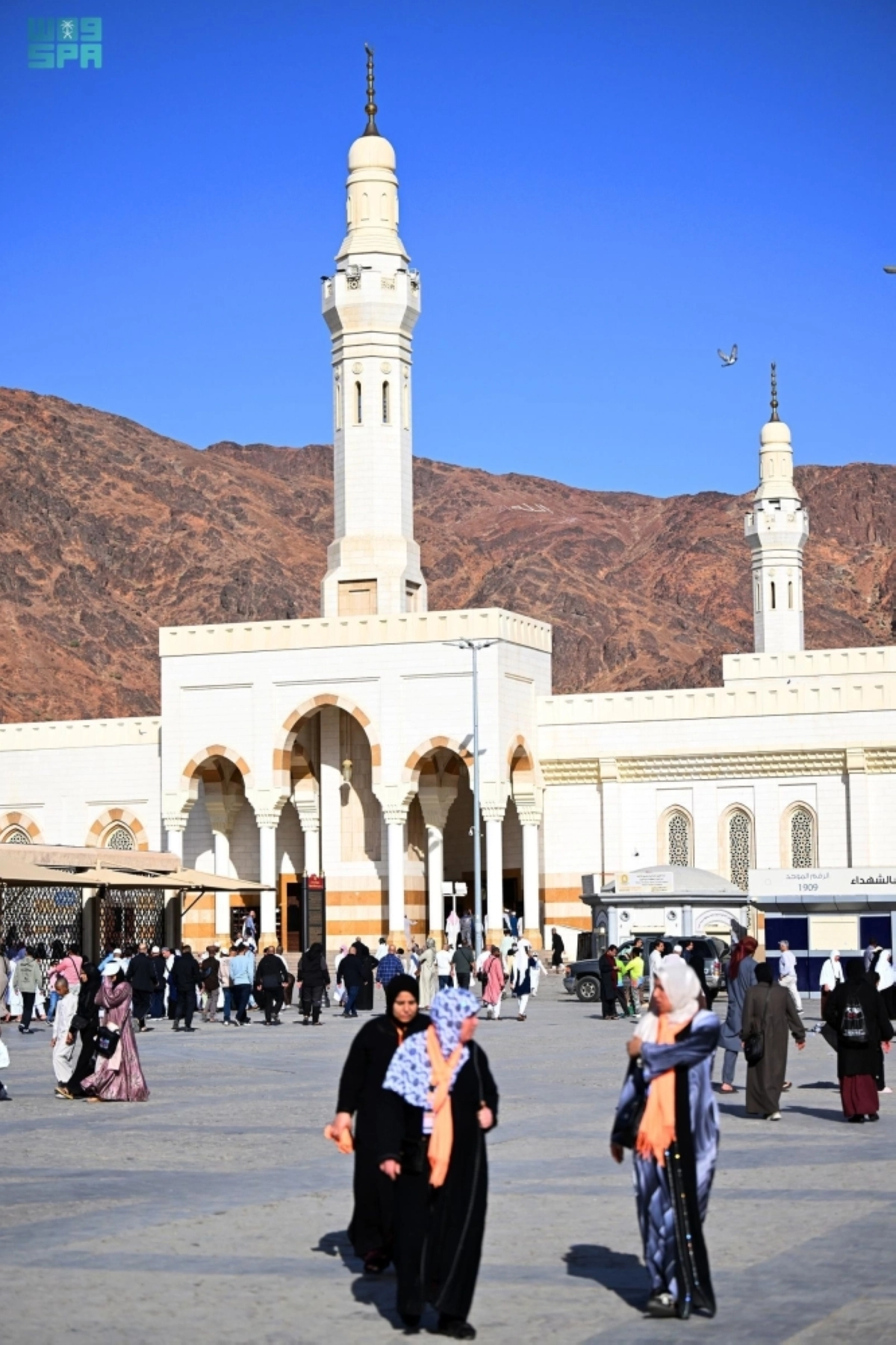 HKyhza2Ip44WPqhRQwJQ6Ca0P7cwiErEebDuYUZU