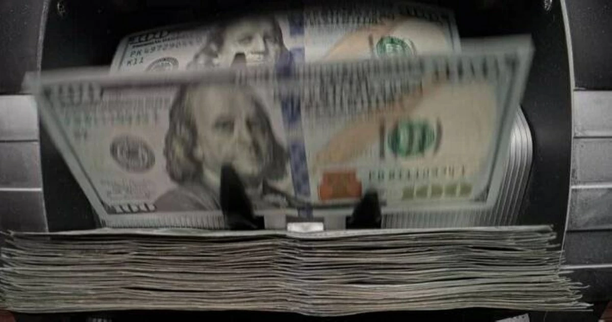 سعر الدولار يستقر في البنوك المصرية مع تقارب الأسعار بين الحكومية والخاصة — image 2