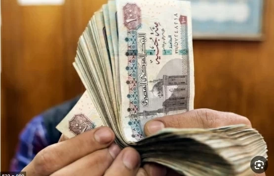 ارتفاع الريال السعودي أمام الجنيه المصري في أول مايو مع استقرار التداولات البنكية — image 2