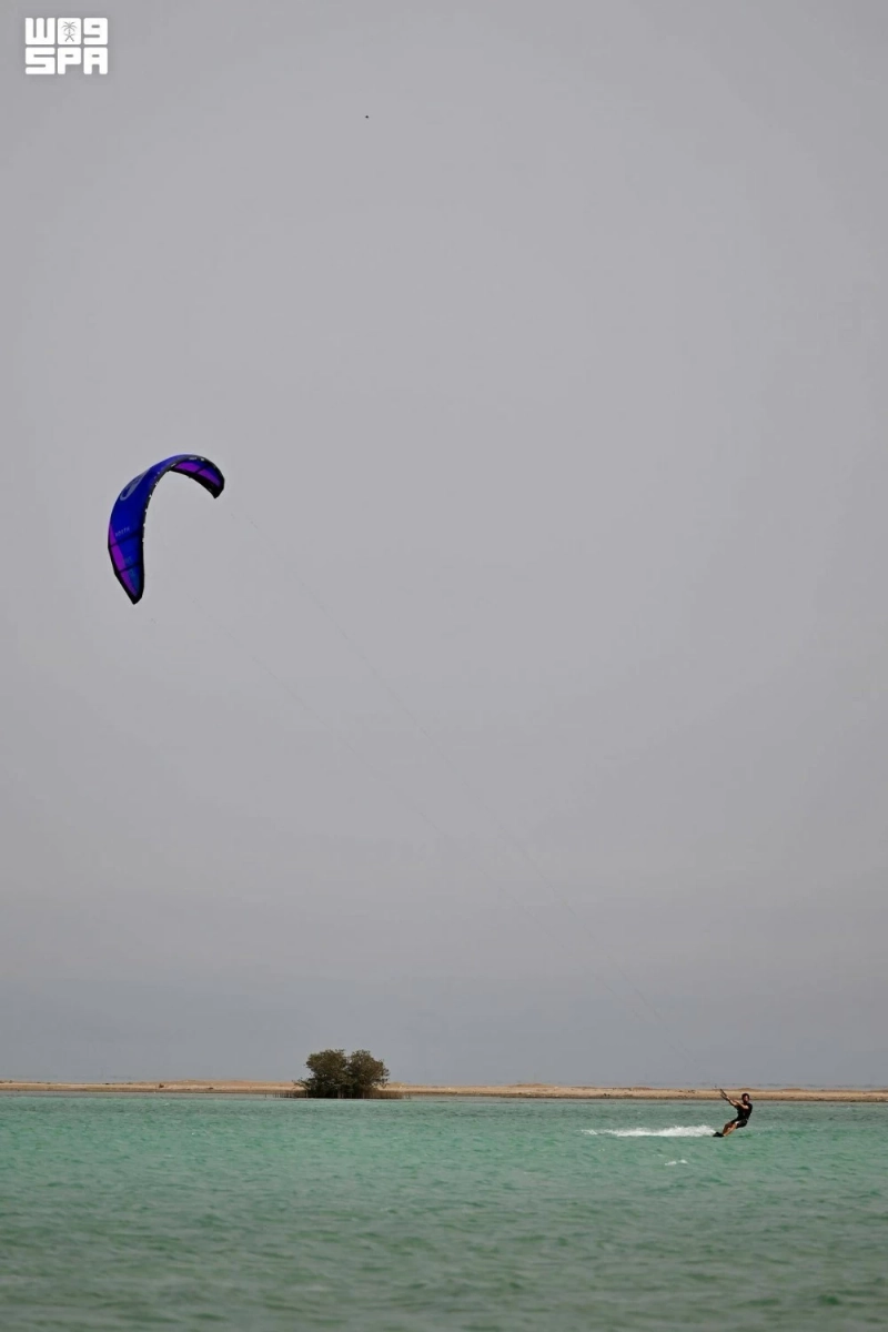 F10546887